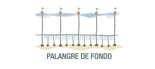 palangre-fondo