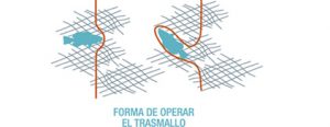 trasmallo